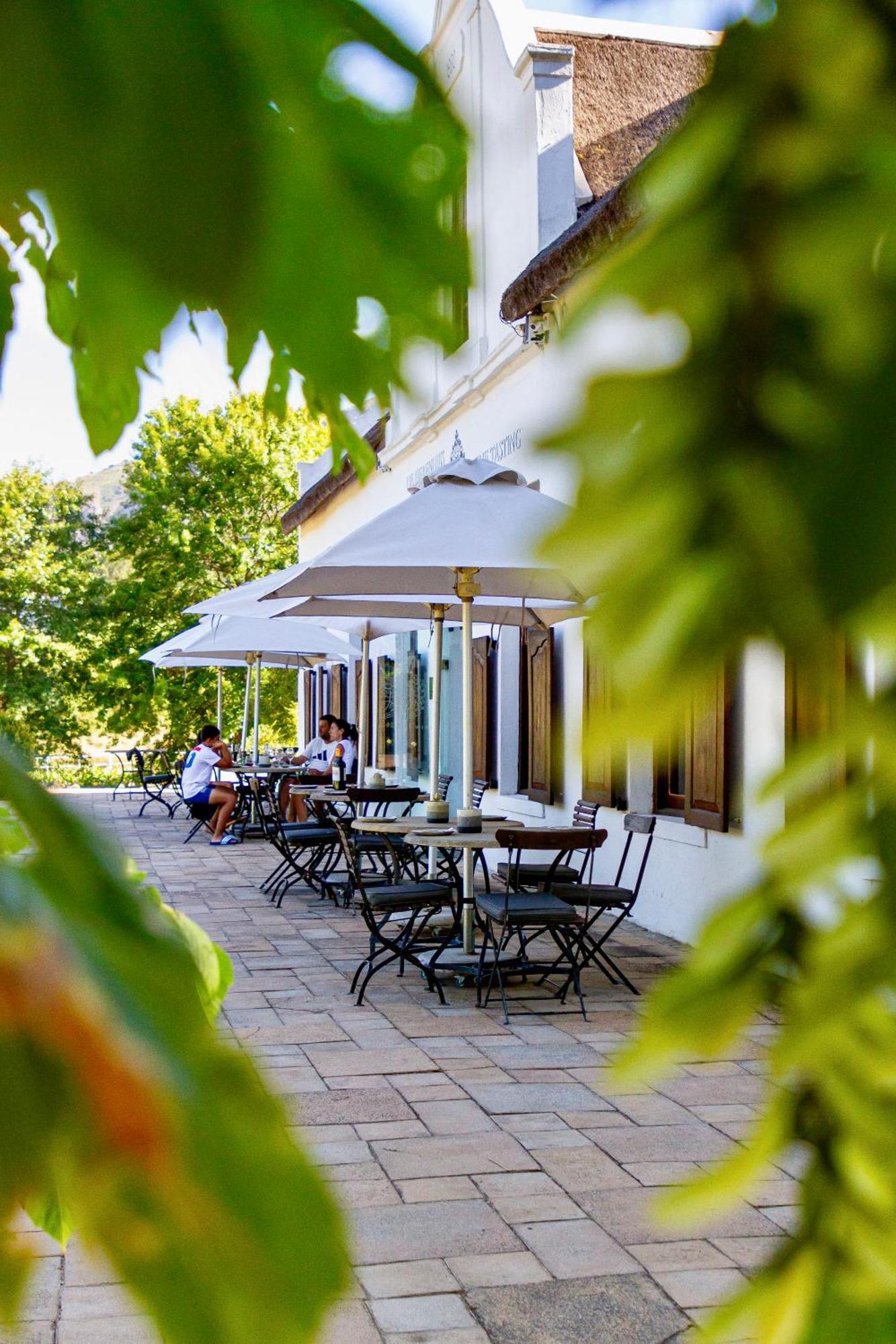 Zorgvliet Wines Country Casa de Campo *