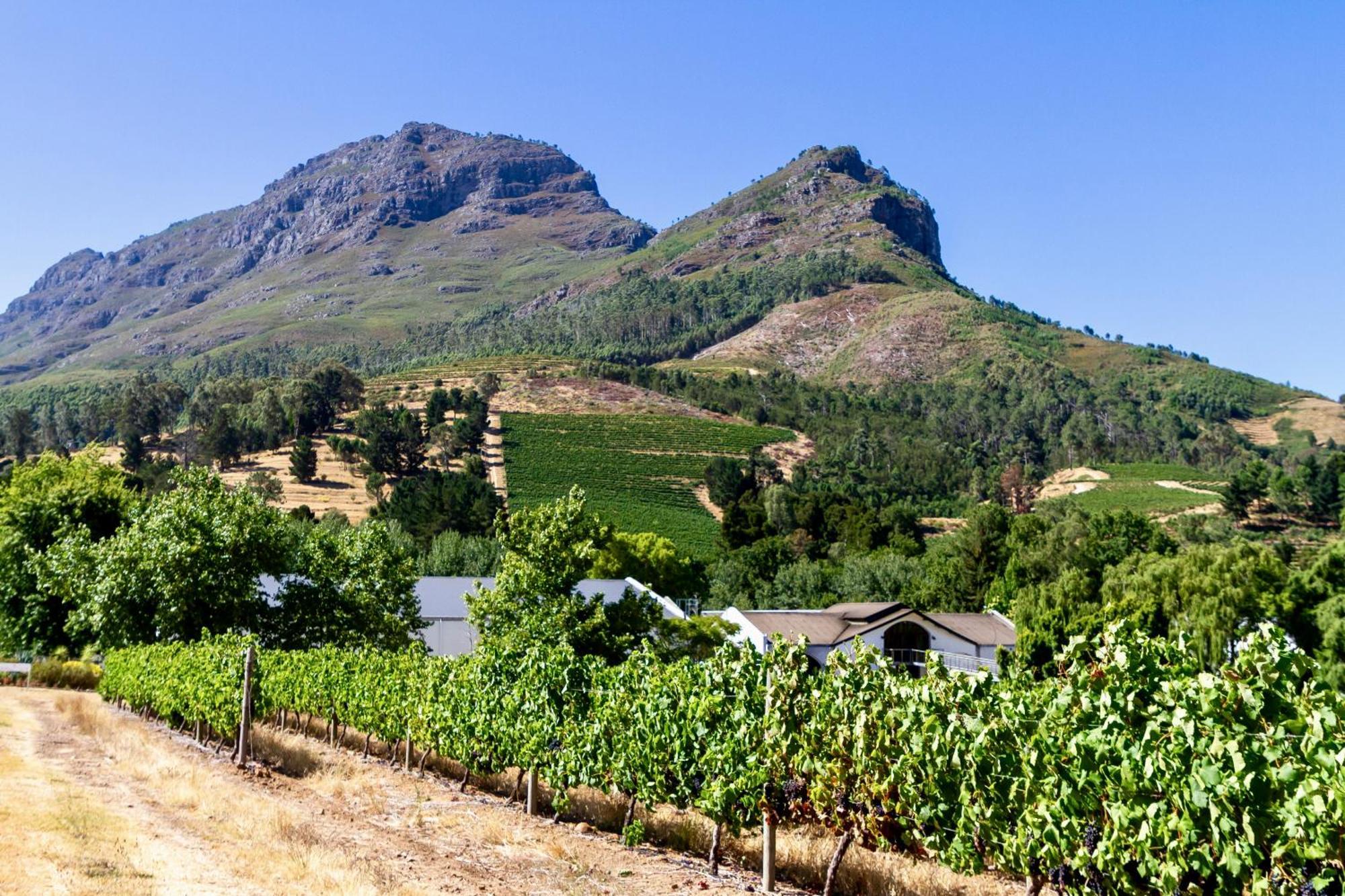 Zorgvliet Wines Country